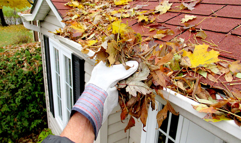 Tending Your Home This Fall